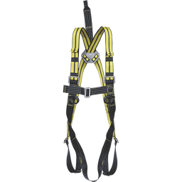 [3224] ARNES SEG 2PA ANTIESTATICO - FA1010900